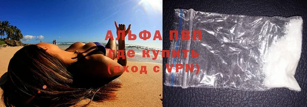 сатива Волоколамск